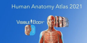 Human Anatomy Atlas 2021 MOD APK (Premium unlocked) 2025.00.012