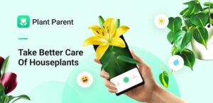 Plant Parent MOD APK (Premium Unlocked) 1.85