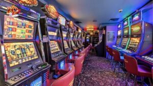 Giới thiệu về Zowin